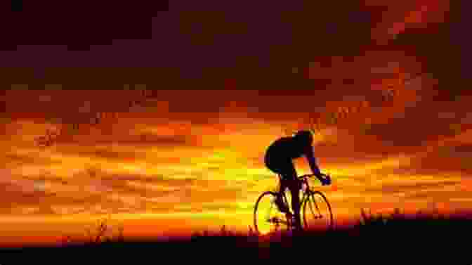 A Cyclist Pauses To Contemplate A Breathtaking Sunset While Cycling Through A Field This Road I Ride: Sometimes It Takes Losing Everything To Find Yourself