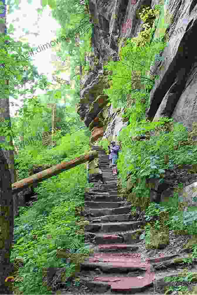 A Hiker Traverses A Scenic Trail In The Hocking Hills, Ohio, Surrounded By Towering Sandstone Cliffs And Lush Vegetation. Hiking Ohio (America S Best Day Hiking)