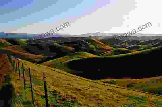 A Panoramic View From The Summit Of A Mountain In Ireland, Showcasing Rolling Green Hills And Distant Mountain Ranges Ireland S County High Points (A Walking Guide)