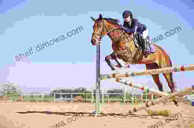 A Photo Of A Woman Riding A Horse Through A Challenging Obstacle Course High Riding Heroes GeorgeAnn Jansson