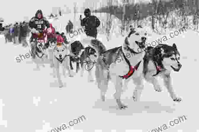 A Team Of Sled Dogs Racing Through A Snowy Landscape Dogsong Gary Paulsen