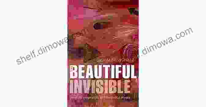 Cover Of The Book 'The Beautiful Invisible: Creativity, Imagination, And Theoretical Physics' By Marcelo Gleiser The Beautiful Invisible: Creativity Imagination And Theoretical Physics