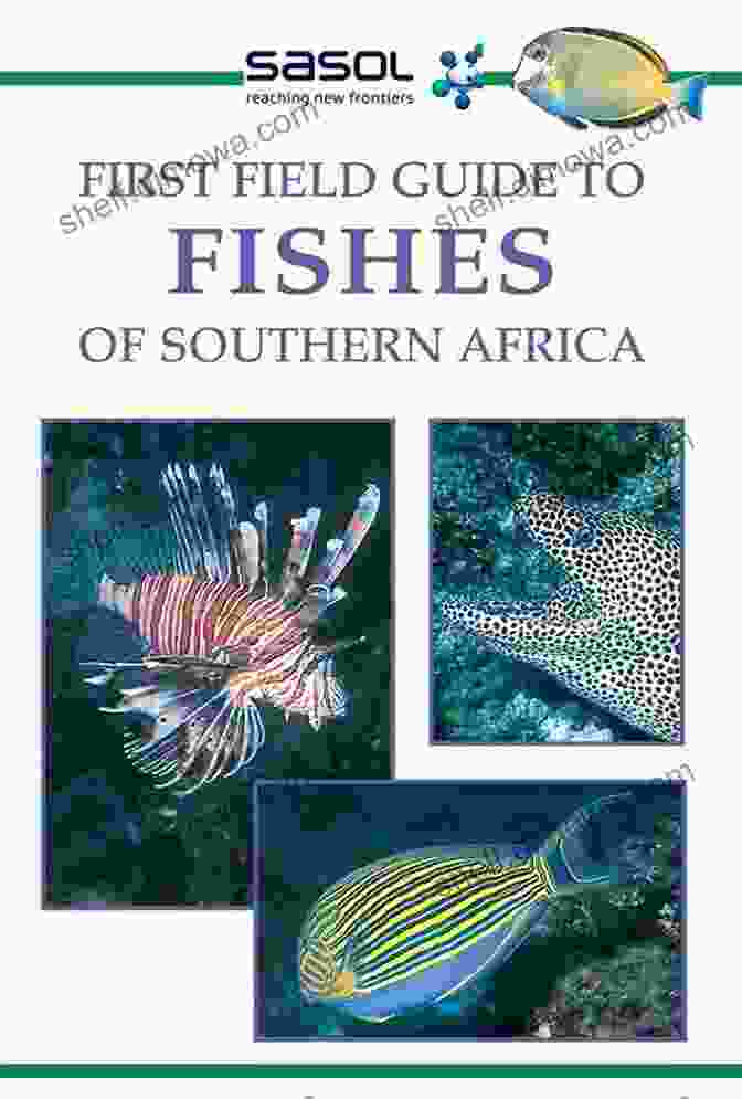 First Field Guide To Fishes Of Southern Africa Book Cover First Field Guide To Fishes Of Southern Africa