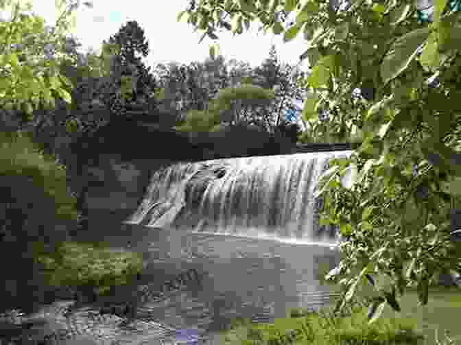 Historic Bridge Near Rere Waterfalls, Evoking A Sense Of Nostalgia And Connection To The Past New Zealand Photo Journal #6: Cycling Rere Waterfalls