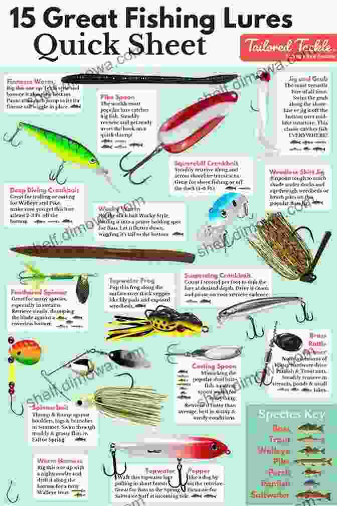 Illustration Of Various Black Bass Fishing Techniques Black Bass Where To Catch Them In Quantity Within An Hour S Ride From New York