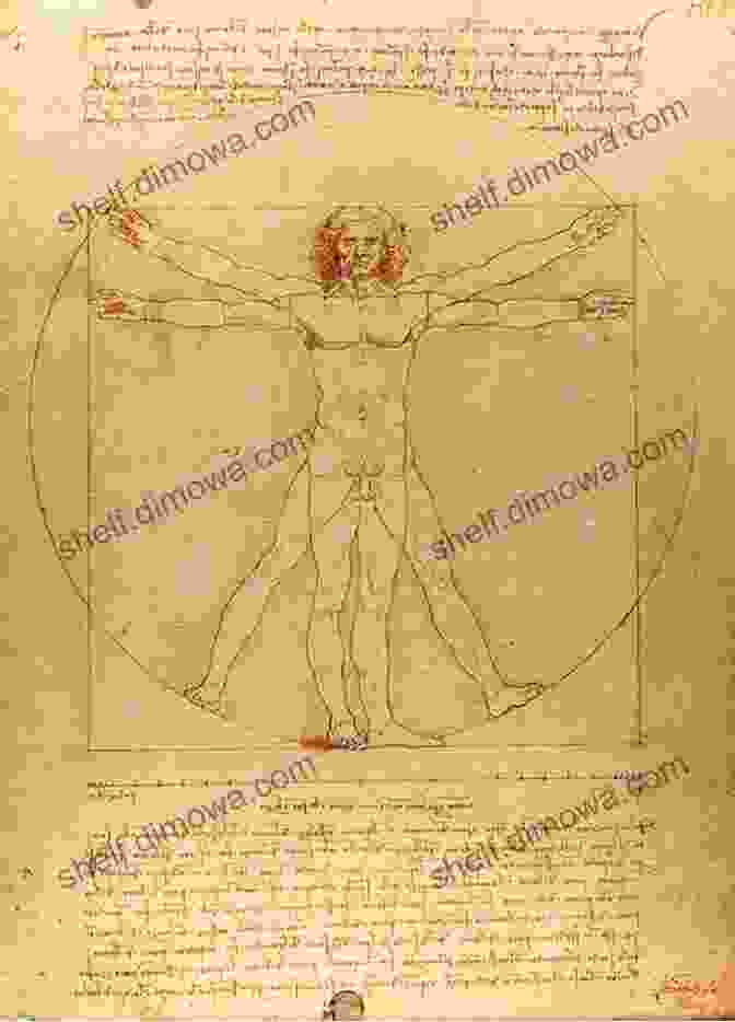 Leonardo Da Vinci Drawing 'Vitruvian Man' Their Life S Work: The Brotherhood Of The 1970s Pittsburgh Steelers Then And Now