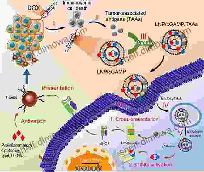 Nanoparticle Mediated Immunotherapy Concept Illustration Nanoparticle Mediated Immunotherapy (Bioanalysis 12) Gemma Lavender