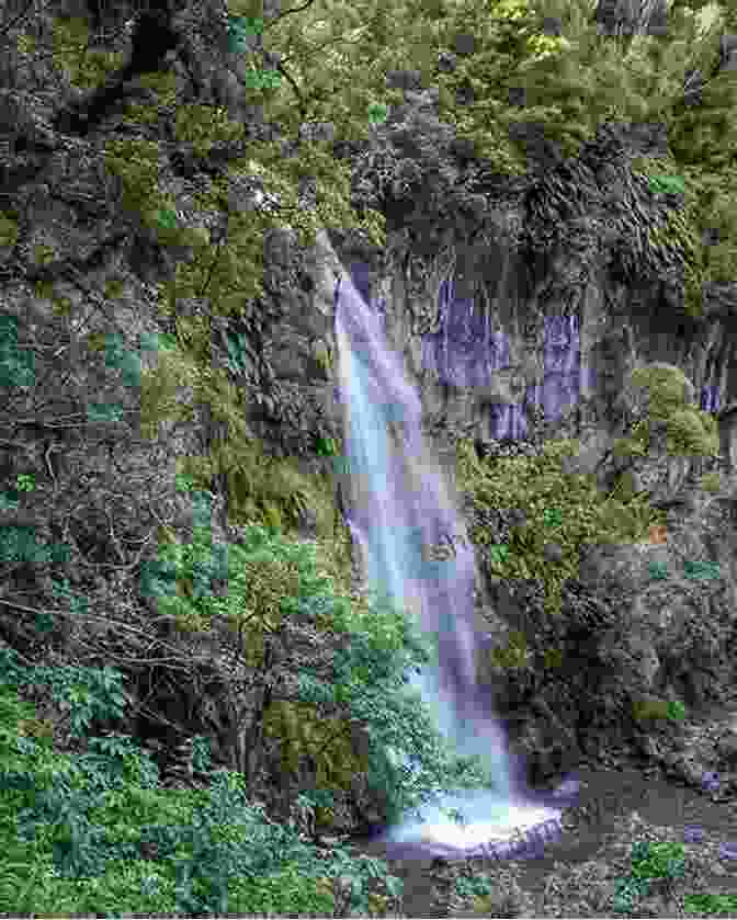 Panoramic View Of Rere Waterfalls, Showcasing Its Cascading Waters And Lush Surroundings New Zealand Photo Journal #6: Cycling Rere Waterfalls