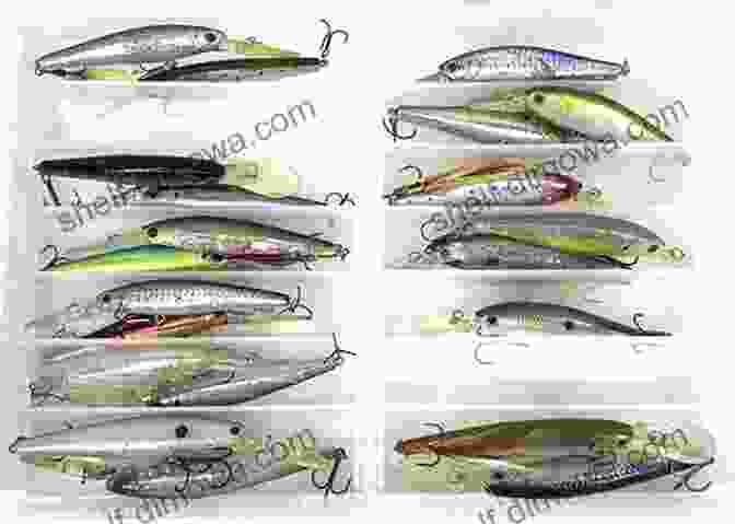 Photo Of An Assortment Of Fishing Lures Black Bass Where To Catch Them In Quantity Within An Hour S Ride From New York