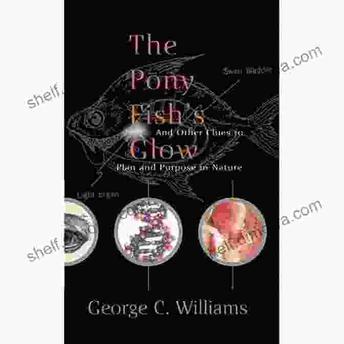 The Pony Fish Glow Book Cover Featuring A Radiant Pony Fish And A Young Boy On A Boat The Pony Fish S Glow: And Other Clues To Plan And Purpose In Nature (Science Masters)