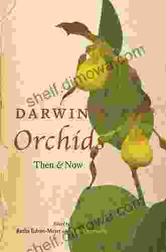 Darwin S Orchids: Then And Now