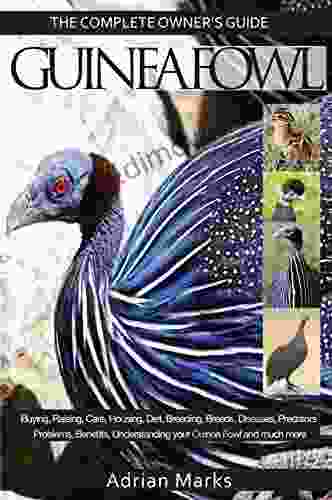 Guineafowl:: Guinea Fowl: The Complete Owners Guide