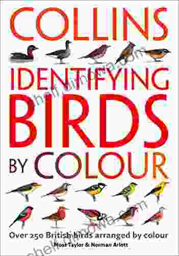 Identifying Birds by Colour Geoff Cunfer