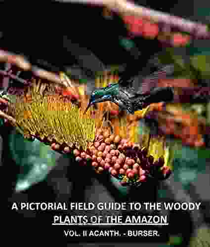 A Pictorial Field Guide To The Woody Plants Of The Amazon VOL II: ACANTHACEAE BURSERACEAE