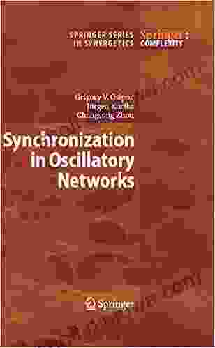 Synchronization In Oscillatory Networks (Springer In Synergetics)