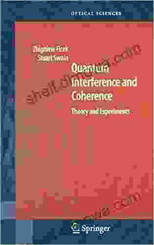 Dynamic Response Of Granular And Porous Materials Under Large And Catastrophic Deformations: Theory And Experiments (Lecture Notes In Applied And Computational Mechanics 11)