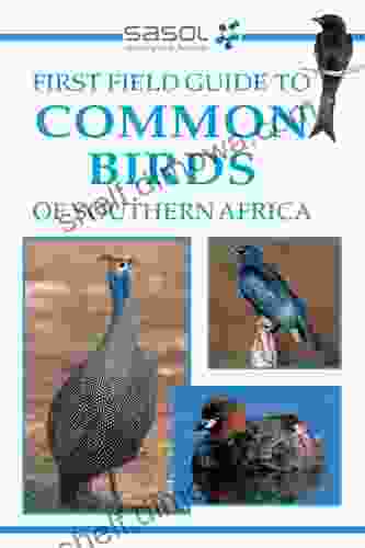 First Field Guide to Common Birds of Southern Africa (Field Guides)