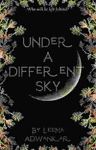 Under A Different Sky Joshua Newnham