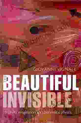 The Beautiful Invisible: Creativity Imagination And Theoretical Physics