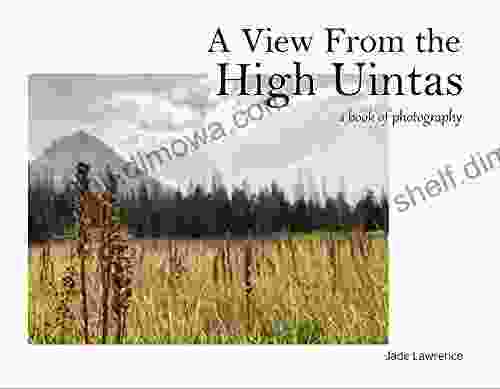 A View From The High Uintas: A Of Photography