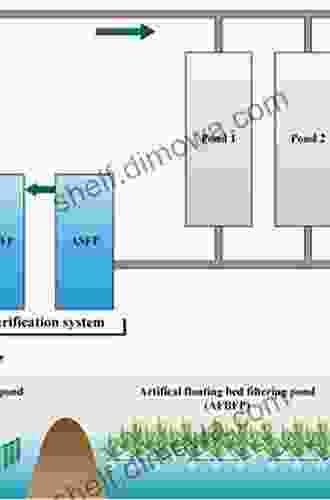 Wastewater Treatment Reactors: Microbial Community Structure